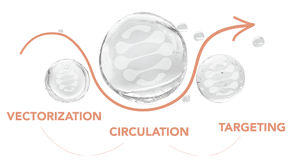 coordinated-skincare-method-inside-outside-akore-pharmanature